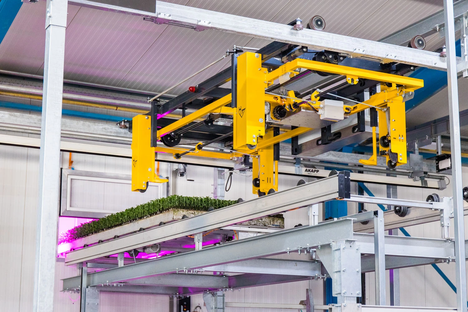 Fred van Paassen Chrysanten